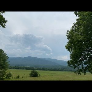 Meet your Posher, Marissa